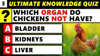 Titles, Money, Pseudoscience and Random Knowledge (Ultimate Knowledge Quiz 5)