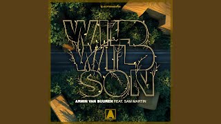 Armin Van Buuren Ft Sam Martin - Wild Wild Son video