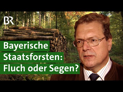 20 Jahre Bayerische Staatsforsten – eine Bilanz | Wald | Unser Land | BR