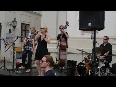 Nikon Z 9  4 K Video Handheld with built in micro