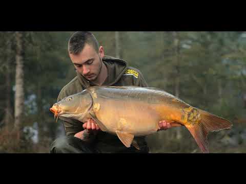 carp fishing in france, at le domaine d'hostens