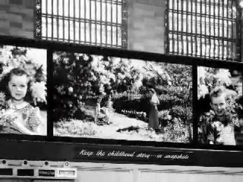 Fonas - Colorama KARALIŠKAI PURPURINIS 2.7 x 11m video
