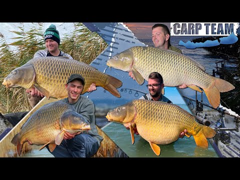 Haldorádó Carp Team - Big Carp Fishing on Lake Balaton in 3 Seasons