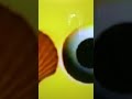 Sesame Street Funding Credits