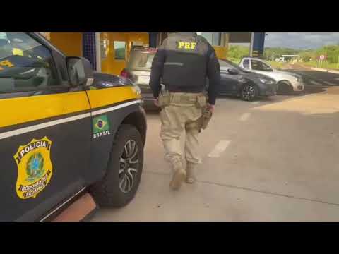 PRF apreende 224kg de maconha no Paraná