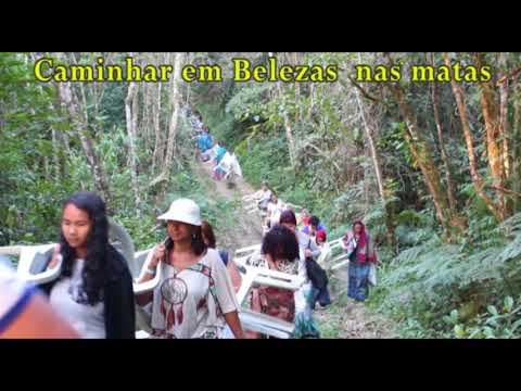 Semana Xamânica Setembro 2017 - Meditação - Ayahausca