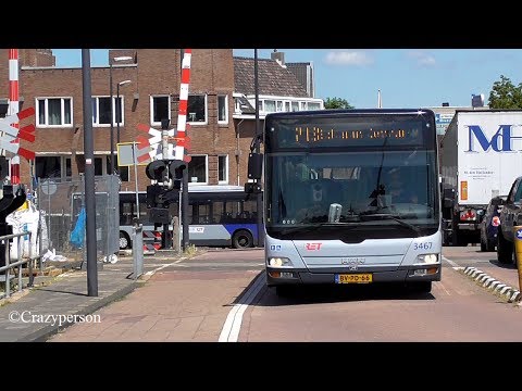 Drie Hoekse Lijn Bussen Bij de spoorbrug in Maassluis