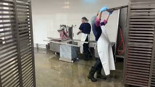 Alte utilaje procesare carne Compact Meat & Pet Snack Forming Machine RK50U | Jerky, Sticks | Imagine 6 - Machineryline