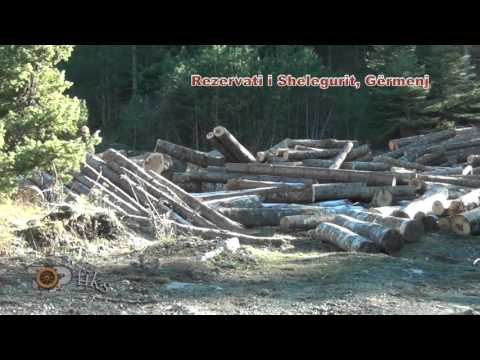 Fiks Fare, 5 Janar 2016, Pjesa 2 - Investigative Satirical Show