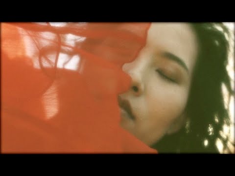 Ankit Shrestha - Sullen Shade (Official Video)