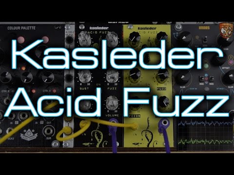 Kasleder Acid Fuzz Eurorack Fuzz Module 2016 - Black image 8