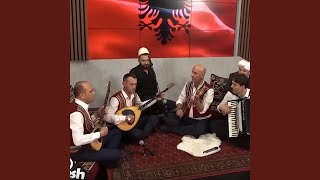 Vellezerit Zogaj - Pavaresia