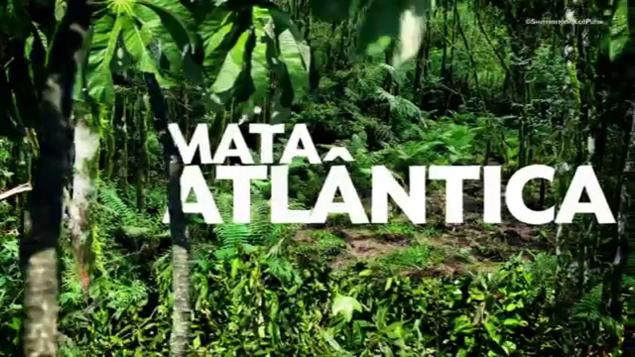 Sistema Positivo de Ensino - Biomas brasileiros