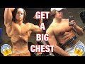 How To Get A Bigger Chest | Tips + Full Chest Workout