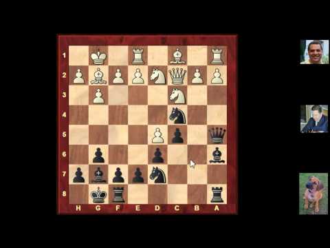 Nigel Short - Chess Grandmaster at Gibraltar 2013 (Chessworld.net)