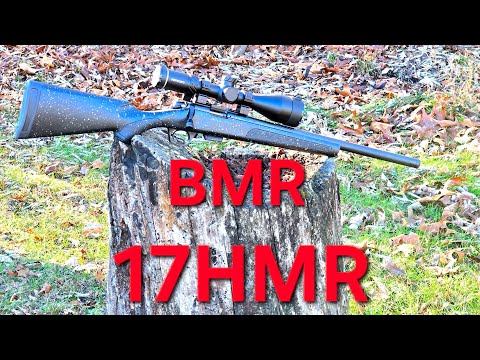 A Loaded Chamber Indicator