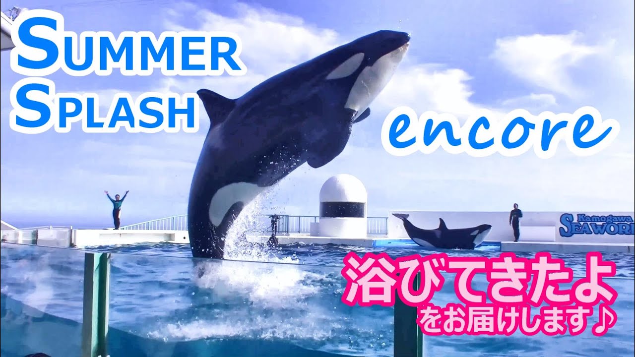 『鴨川シーワールド』2023夏 KamogawaSEAWORLD♪サマースプラッシュ ｅｎｃｏｒｅ（2023/09/10） 15：00～
