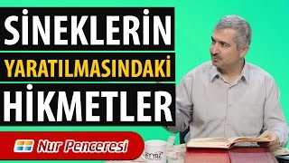 Dr. Burhan SABAZ - Sineklerin Yaratılmasındaki Hikmetler