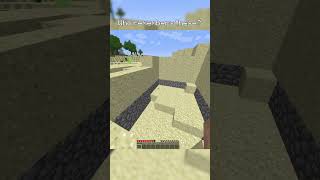 These were SO COOL #shorts #minecraft #nostalgia