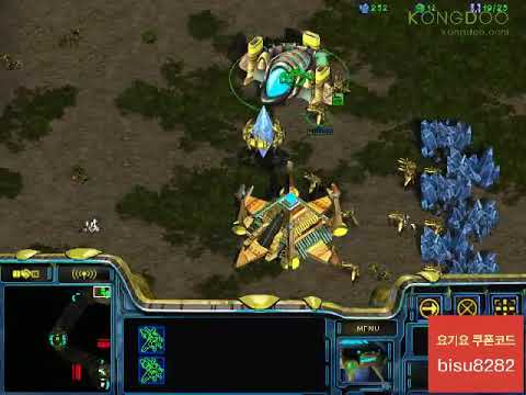 BW FPVBisu v Ssak PvT 140803 1Set Fighting Spirit