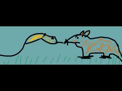 Cobra vs Mongoose Book Promo