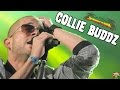 Collie Buddz - Let Me Know @ SummerJam 2016