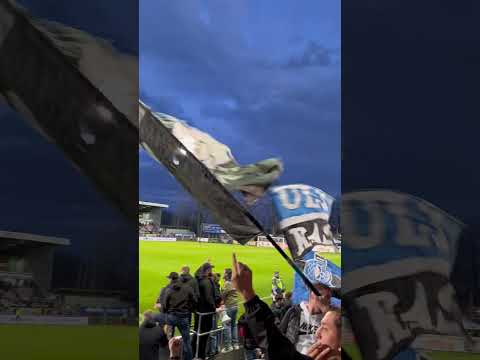 Halmstad BK - Sweden #football