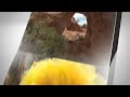 PBS 6 Station ID Nature 2013 HD