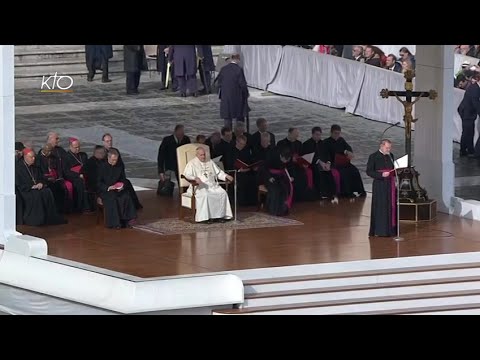 Audience générale du 5 novembre 2014