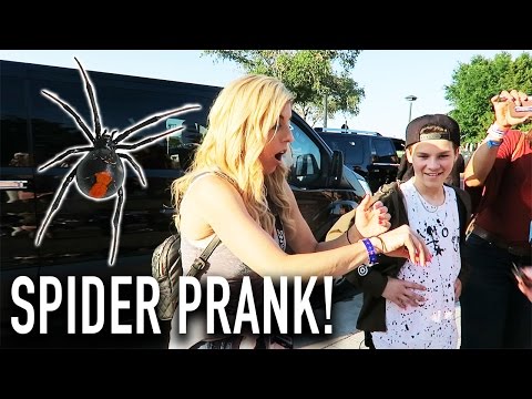 JOJO PRANKS REBECCA WITH GIANT SPIDER! - (Day 127) Video