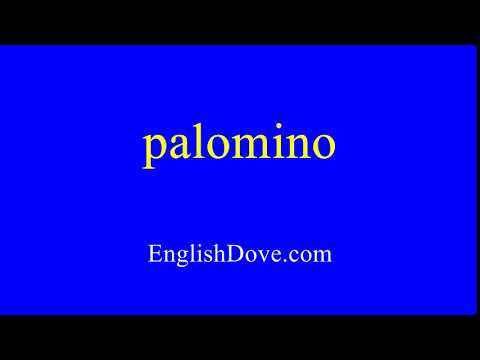 How to pronounce palomino in American English.