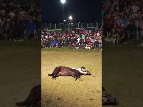 Festival en Comuna San Víctor