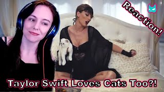 My First Taylor Swift Experience! - BLANK SPACE - First Time Hearing Reaction!