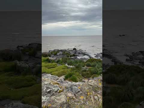 Colonia de Sacramento 🇺🇾, Punta de San Pedro, #costa #nature #relaxing