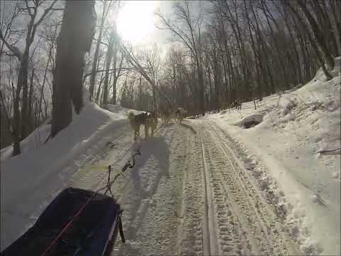 03 05 22 Sawmill trail