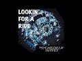 Psychedelic Waves Lookin For A Ride Full Album 2018