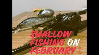 2月だけどシャローを攻めます！in Georgia/Fishing at shallow on February！