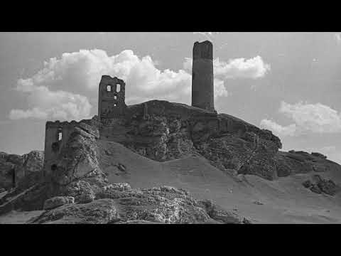 Zamek królewski w Olsztynie