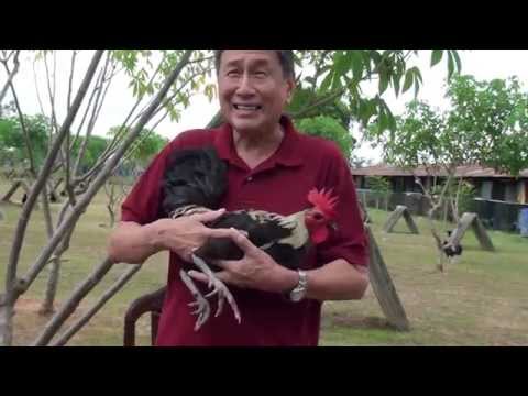 Interview with Sir Serge Capistrano - Speeder Grey Part 2