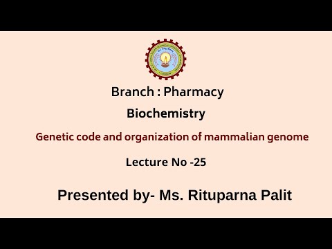 Genetic Code and Organization of Mammalian Genome