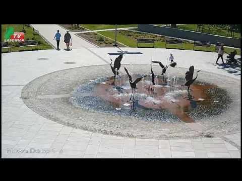 Lasowiak TV – transmisja na żywo