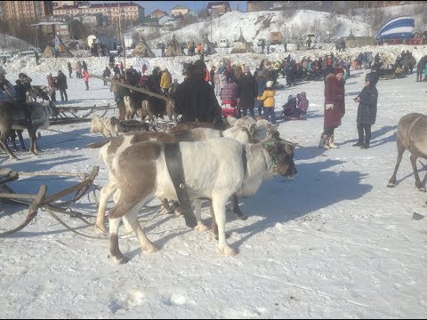 Салехард. День оленевода 30 марта 2019 года.