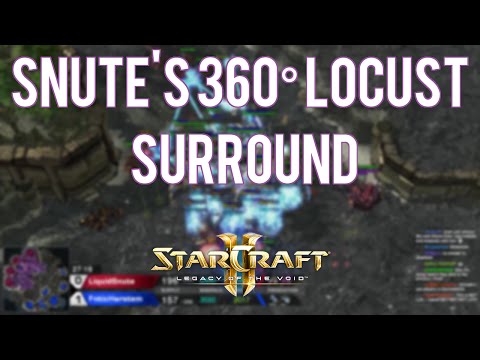 Snute's 360° Locust surround
