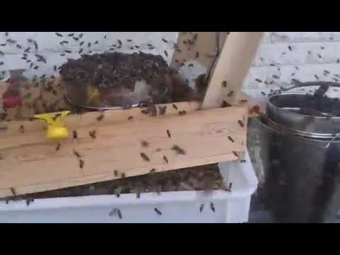 Bina städar avtäckningslådan, silar mm (röveri med tillstånd)