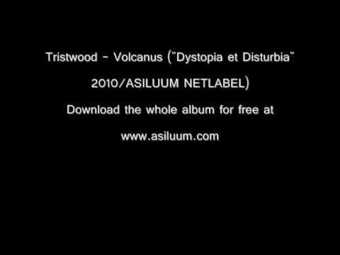 Tristwood Volcanus Video 2010_0001.wmv