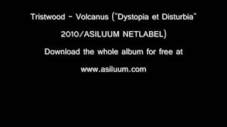 Tristwood Volcanus Video 2010_0001.wmv