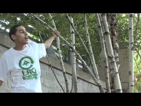 Dat Boy WISE - Cause I'm High