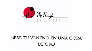 Sweet Charity - Mr. Bungle [Sub. Español]