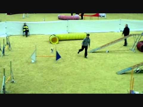 Agi B A C K  2011 01 14