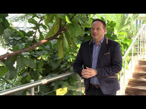 Znasz Zieloną Górę?